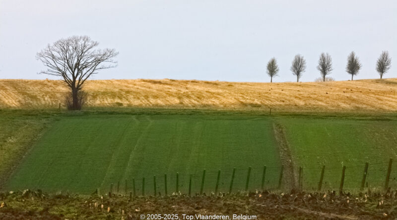 GPS: 50°47'39.408" N 2°48'45.6912" E Altitude: 113,7 m -  -  -   -  -   -  -