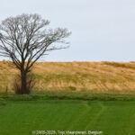 GPS: 50°47'39.408" N 2°48'45.6912" E Altitude: 113,7 m -  -  -   -  -   -  -