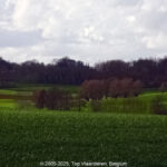GPS: 50°47'35.1852" N 2°48'40.1148" E Altitude: 46,1 m -  -  -   -  -   -  -