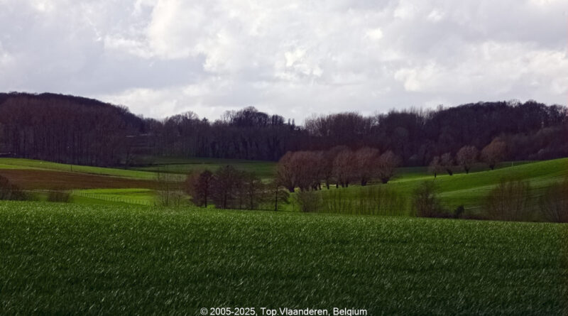 GPS: 50°47'35.1852" N 2°48'40.1148" E Altitude: 46,1 m -  -  -   -  -   -  -