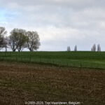 GPS: 50°45'48.888" N 2°53'2.0328" E Altitude: 25,9 m -  -  -   -  -   -  -