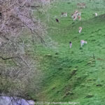 GPS: 50°46'41.0808" N 2°48'43.1208" E Altitude: 173,6 m - België -  -  Heuvelland -  -   -  -