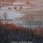 GPS: 50°46'41.0808" N 2°48'43.1208" E Altitude: 173,6 m - België -  -  Heuvelland -  -   -  -