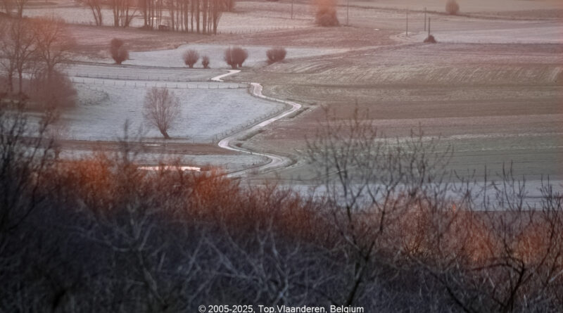 GPS: 50°46'41.0808" N 2°48'43.1208" E Altitude: 173,6 m - België -  -  Heuvelland -  -   -  -