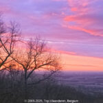 GPS: 50°46'41.808" N 2°48'44.0208" E Altitude: 158,1 m - België -  -  Heuvelland -  -   -  -