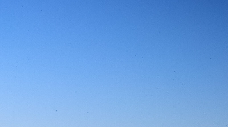 GPS: 50°46'43.824" N 3°20'13.308" E Altitude: 82,2 m -  -  -   -  -   -  -