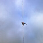 GPS: 50°51'5.4468" N 2°53'12.696" E Altitude: 18,7 m -  -  -   -  -   -  -