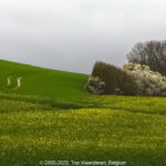 GPS: 50°53'59.7732" N 1°40'58.494" E Altitude: -4,4 m -  -  -   -  -   -  -