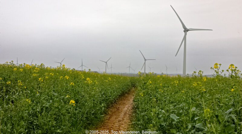 GPS: 50°34'40.2348" N 2°11'39.426" E Altitude: 143,0 m -  -  -   -  -   -  -