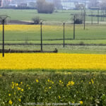 GPS: 50°45'9.7308" N 2°32'49.0992" E Altitude: 48,0 m -  -  -   -  -   -  -