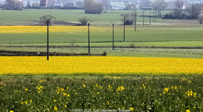GPS: 50°45'9.7308" N 2°32'49.0992" E Altitude: 48,0 m -  -  -   -  -   -  -