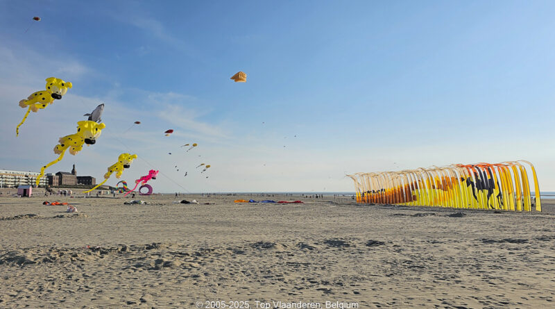 GPS: 50°24'22.8672" N 1°33'27.6912" E Altitude: 50,0 m -  -  -   -  -   -  -