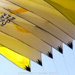 GPS: 50°24'39.8448" N 1°33'43.8192" E Altitude: 12,4 m -  -  -   -  -   -  -