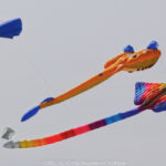 GPS: 50°24'39.8448" N 1°33'43.8192" E Altitude: 12,4 m -  -  -   -  -   -  -
