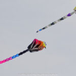 GPS: 50°24'22.14" N 1°33'34.488" E Altitude: 10,4 m -  -  -   -  -   -  -