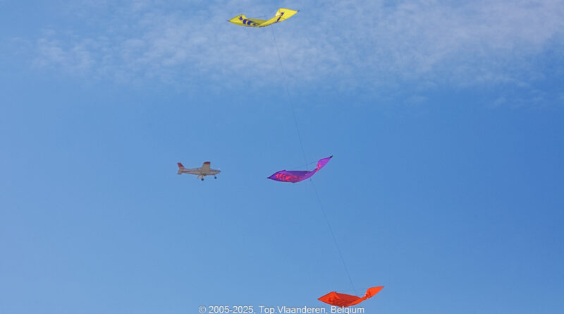 GPS: 50°24'20.1888" N 1°33'33.7032" E Altitude: 7,9 m -  -  -   -  -   -  -