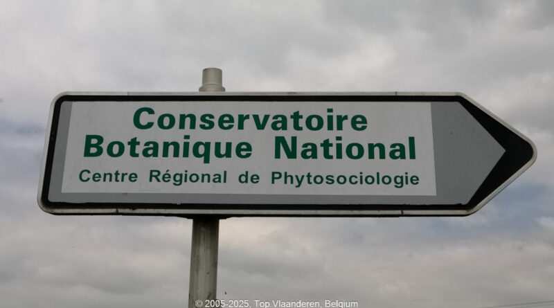 GPS: 50°44'34.3212" N 2°44'50.622" E Altitude: 7,4 m -  -  -   -  -   -  -