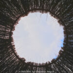GPS: 50°45'7.344" N 2°45'46.1592" E Altitude: 71,7 m -  -  -   -  -   -  -