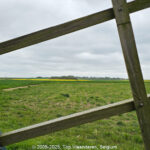 GPS: 50°46'4.2636" N 2°6'11.3004" E Altitude: 172,0 m -  -  -   -  -   -  -