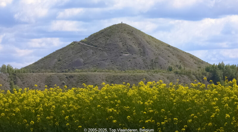 GPS: 50°27'36.8208" N 2°46'14.4192" E Altitude: 47,9 m -  -  -   -  -   -  -
