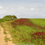 GPS: 50°49'46.776" N 1°35'25.1628" E Altitude: 38,1 m -  -  -   -  -   -  -