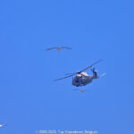 GPS: 51°13'46.2288" N 2°55'25.0788" E Altitude: -21,3 m -  -  -   -  -   -  -