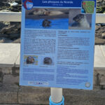 GPS: 50°49'33.1032" N 1°35'22.3728" E Altitude: 56,0 m -  -  -   -  -   -  -