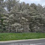 GPS: 50°49'31.584" N 1°44'34.0656" E Altitude: 118,0 m -  -  -   -  -   -  -
