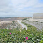GPS: 50°49'31.854" N 1°44'33.4788" E Altitude: 119,0 m -  -  -   -  -   -  -