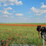 GPS: 50°13'7.7916" N 3°20'0.7152" E Altitude: 107,0 m -  -  -   -  -   -  -