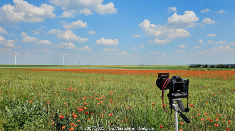 GPS: 50°13'7.7916" N 3°20'0.7152" E Altitude: 107,0 m -  -  -   -  -   -  -