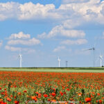 GPS: 50°13'5.2644" N 3°20'2.7492" E Altitude: 100,0 m -  -  -   -  -   -  -