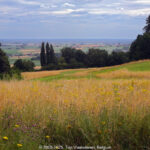 GPS: 50°46'36.426" N 2°48'33.7788" E Altitude: 113,2 m -  -  -   -  -   -  -