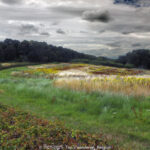 GPS: 50°46'36.426" N 2°48'33.7788" E Altitude: 113,2 m -  -  -   -  -   -  -