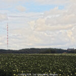 GPS: 50°47'32.6508" N 2°41'28.662" E Altitude: 159,1 m -  -  -   -  -   -  -