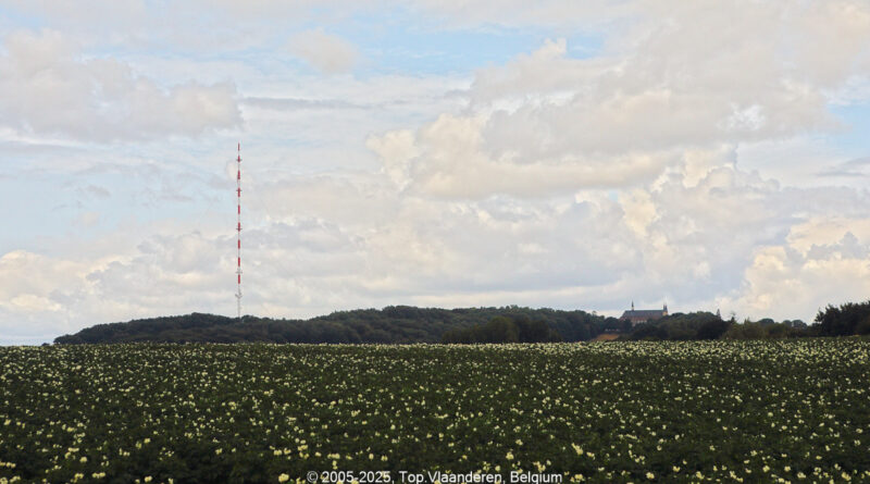 GPS: 50°47'32.6508" N 2°41'28.662" E Altitude: 159,1 m -  -  -   -  -   -  -