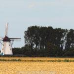 GPS: 51°2'43.7928" N 2°36'28.5948" E Altitude: -1,5 m -  -  -   -  -   -  -