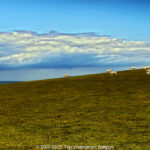 GPS: 50°54'18.81" N 1°41'19.9392" E Altitude: 64,4 m -  -  -   -  -   -  -