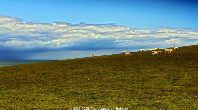 GPS: 50°54'18.81" N 1°41'19.9392" E Altitude: 64,4 m -  -  -   -  -   -  -