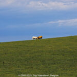 GPS: 50°54'18.936" N 1°41'20.5548" E Altitude: 59,1 m -  -  -   -  -   -  -