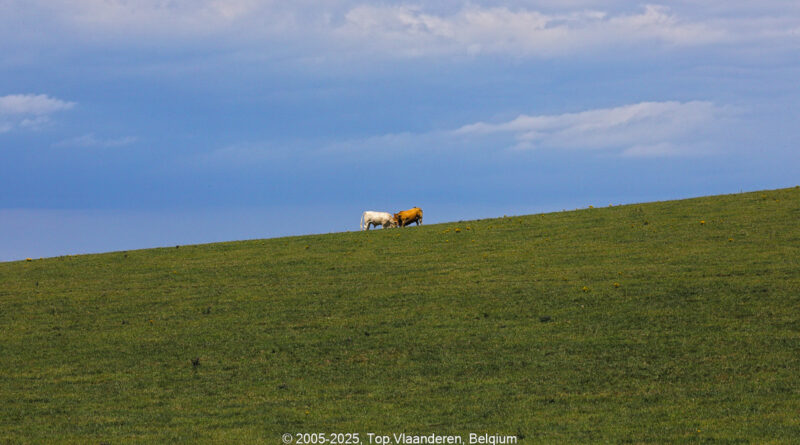 GPS: 50°54'18.936" N 1°41'20.5548" E Altitude: 59,1 m -  -  -   -  -   -  -