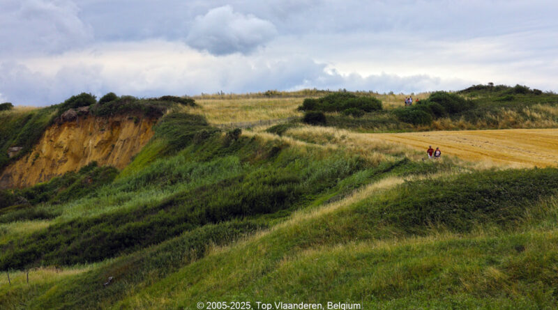 GPS: 50°52'14.2212" N 1°35'21.4548" E Altitude: 31,5 m -  -  -   -  -   -  -