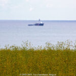 GPS: 50°50'34.638" N 1°35'51.0432" E Altitude: 63,3 m -  -  -   -  -   -  -
