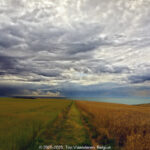 GPS: 50°50'35.1492" N 1°35'50.8308" E Altitude: 55,1 m -  -  -   -  -   -  -