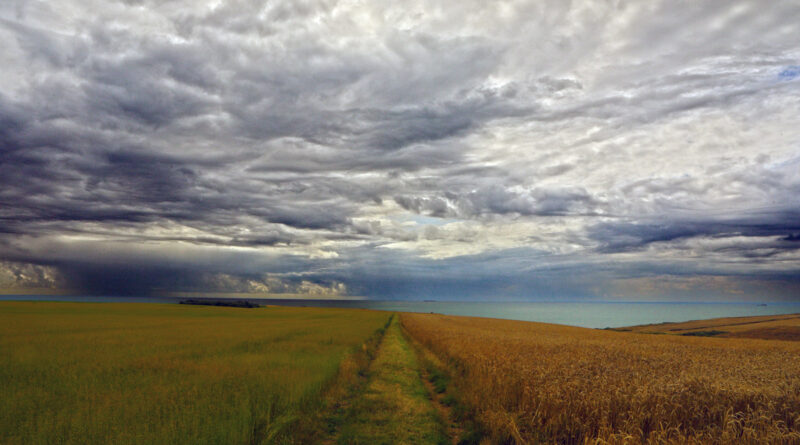GPS: 50°50'35.1492" N 1°35'50.8308" E Altitude: 55,1 m -  -  -   -  -   -  -
