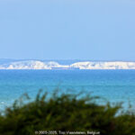 GPS: 50°56'12.8688" N 1°43'43.9068" E Altitude: 13,6 m -  -  -   -  -   -  -