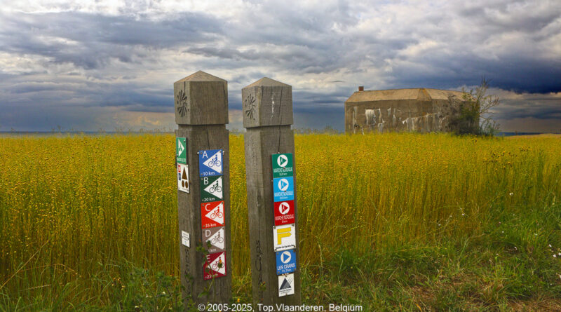 GPS: 50°50'35.556" N 1°35'50.0532" E Altitude: 36,3 m -  -  -   -  -   -  -