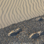 GPS: 51°5'41.01" N 2°33'44.3772" E Altitude: 15,0 m -  -  -   -  -   -  -