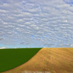 GPS:  Altitude:  -  -  -   -  -   -  -