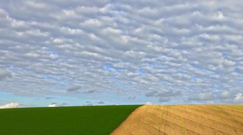 GPS:  Altitude:  -  -  -   -  -   -  -